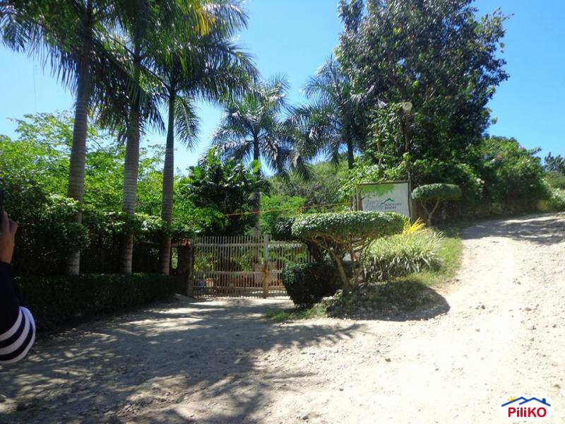 Residential Lot for sale in Consolacion - image 5