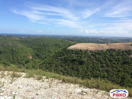 Residential Lot for sale in Consolacion - image 5