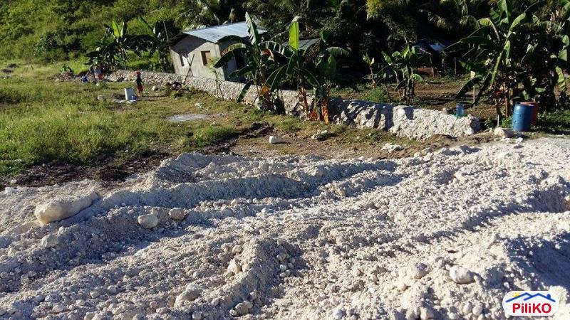 Residential Lot for sale in Consolacion - image 5