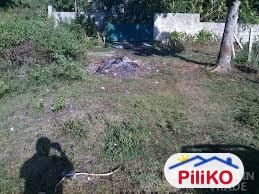 Residential Lot for sale in Consolacion - image 5