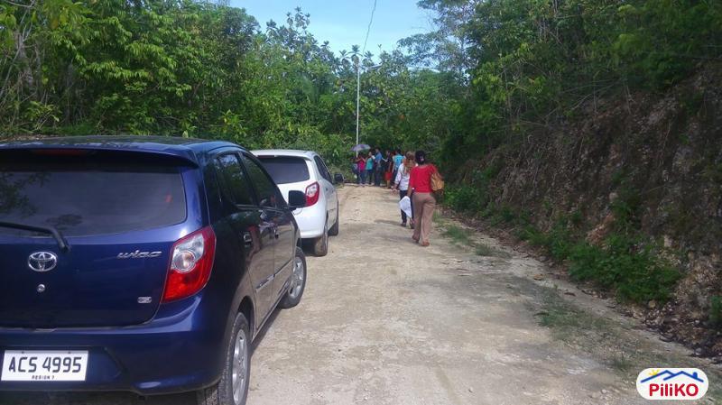 Residential Lot for sale in Consolacion - image 5