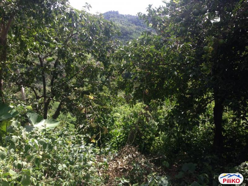Residential Lot for sale in Consolacion - image 6