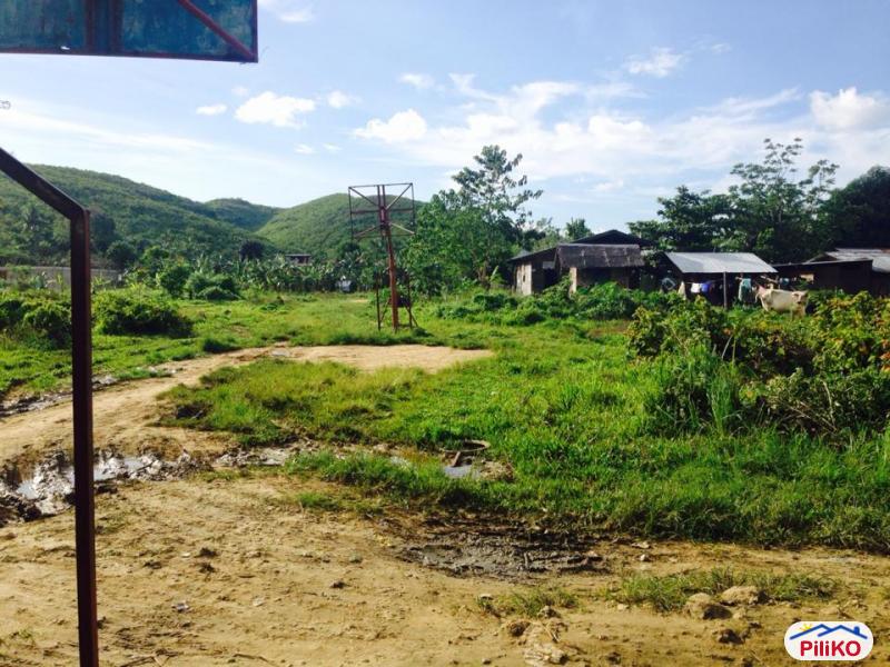 Residential Lot for sale in Consolacion - image 6