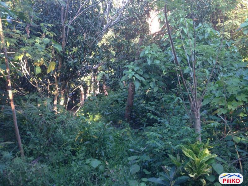 Picture of Residential Lot for sale in Consolacion in Philippines