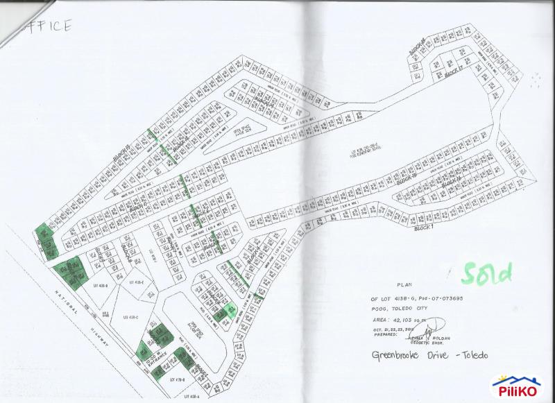 Residential Lot for sale in Consolacion - image 6