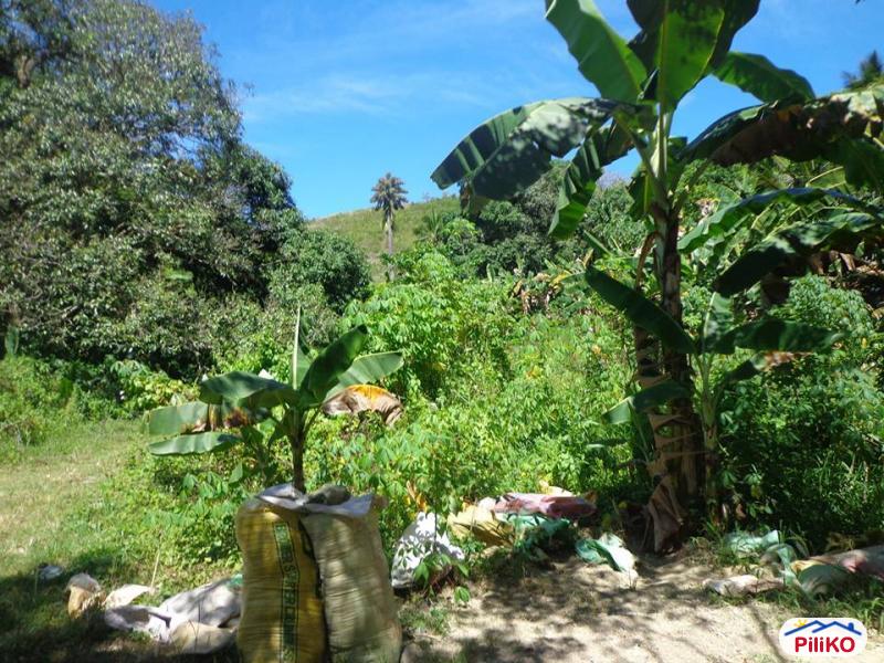 Residential Lot for sale in Consolacion - image 6
