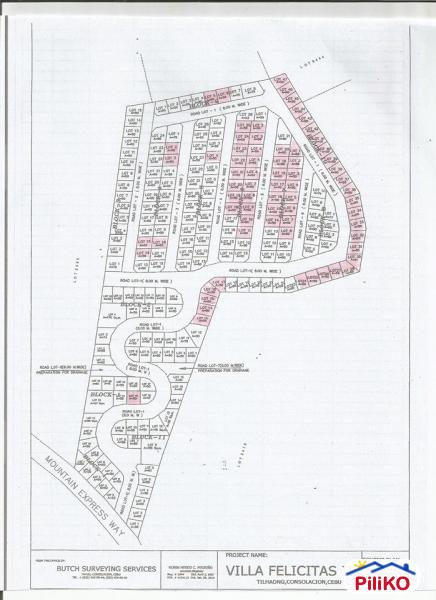 Picture of Residential Lot for sale in Consolacion in Philippines