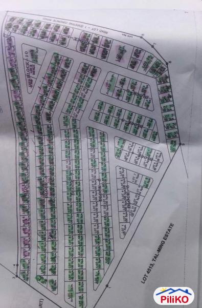 Residential Lot for sale in Consolacion - image 6
