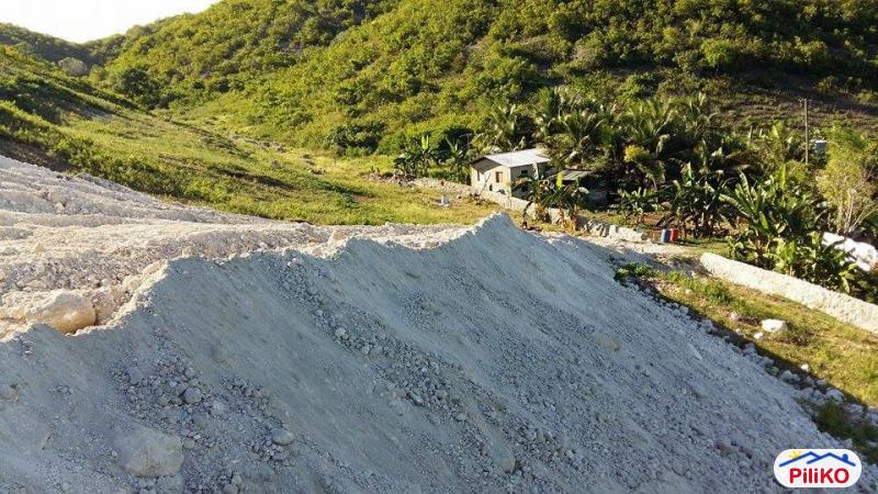 Residential Lot for sale in Consolacion - image 6