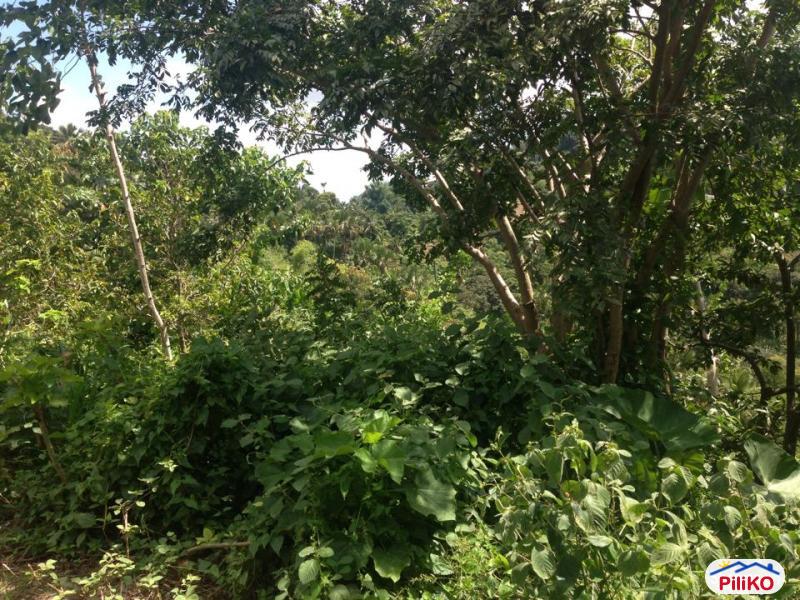 Residential Lot for sale in Consolacion - image 7