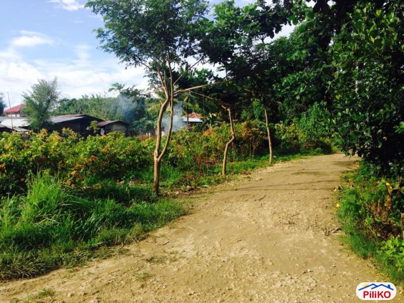 Residential Lot for sale in Consolacion - image 7