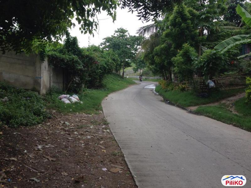 Commercial Lot for sale in Consolacion - image 7