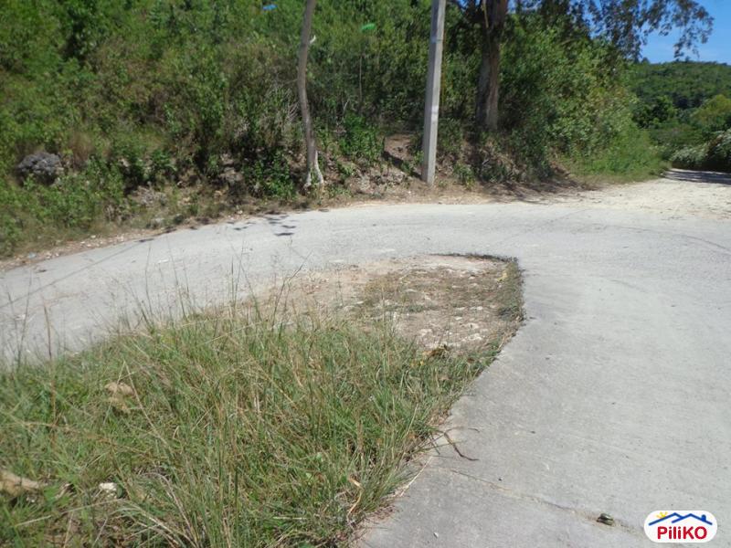 Residential Lot for sale in Consolacion - image 7