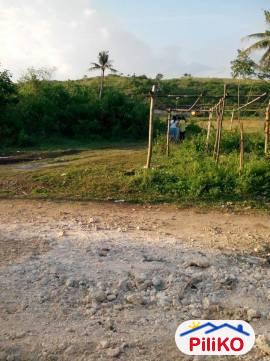 Residential Lot for sale in Consolacion in Cebu - image