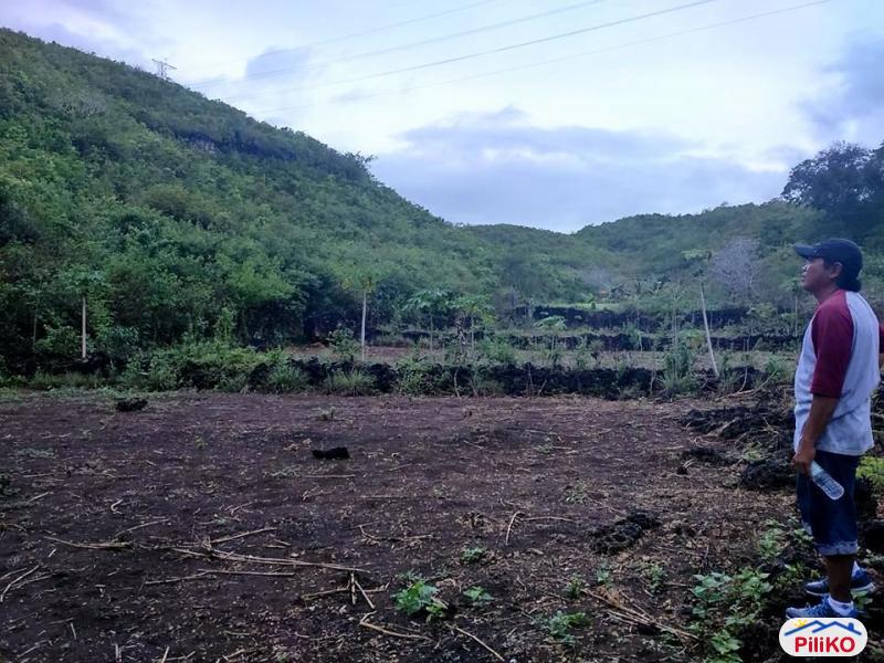 Residential Lot for sale in Consolacion in Cebu - image