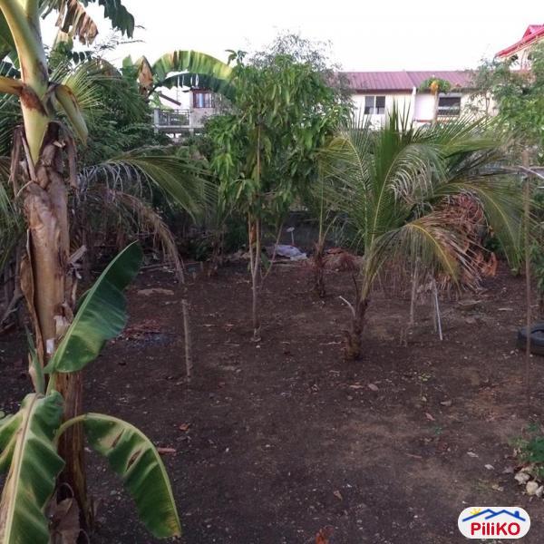 Residential Lot for sale in Consolacion - image 7