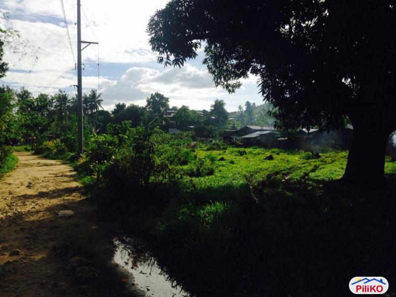 Residential Lot for sale in Consolacion - image 8