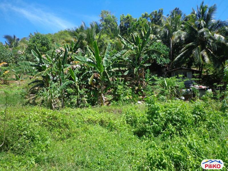 Residential Lot for sale in Consolacion - image 8