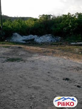 Residential Lot for sale in Consolacion - image 8