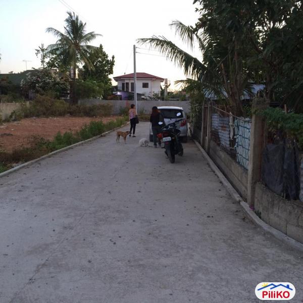 Residential Lot for sale in Consolacion - image 8