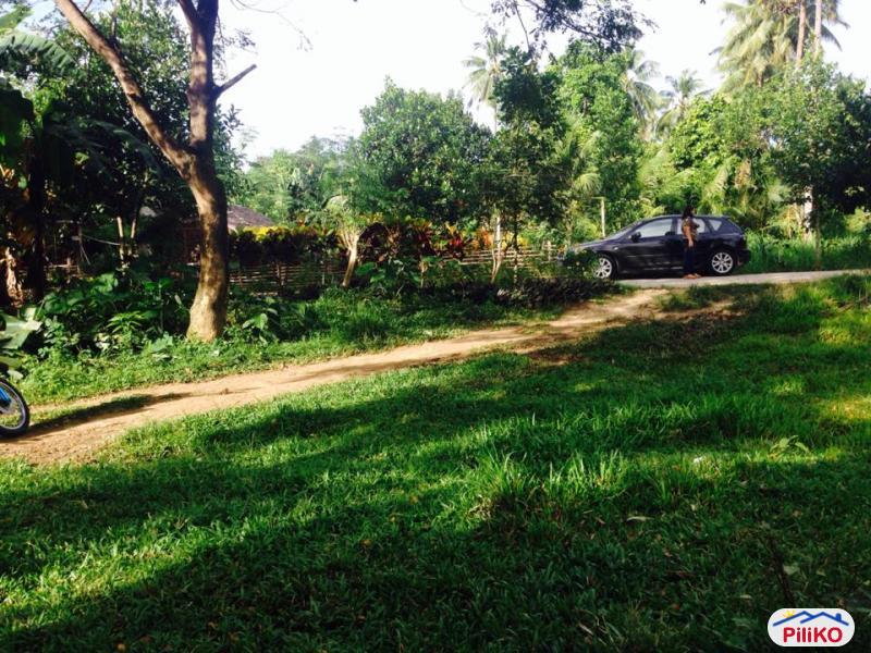 Residential Lot for sale in Consolacion - image 9