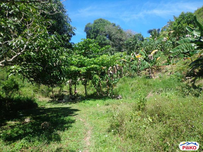 Residential Lot for sale in Consolacion - image 9