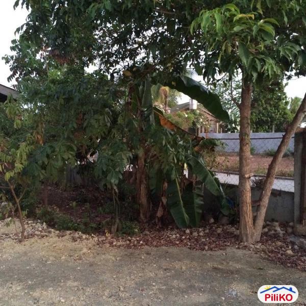 Residential Lot for sale in Consolacion - image 9