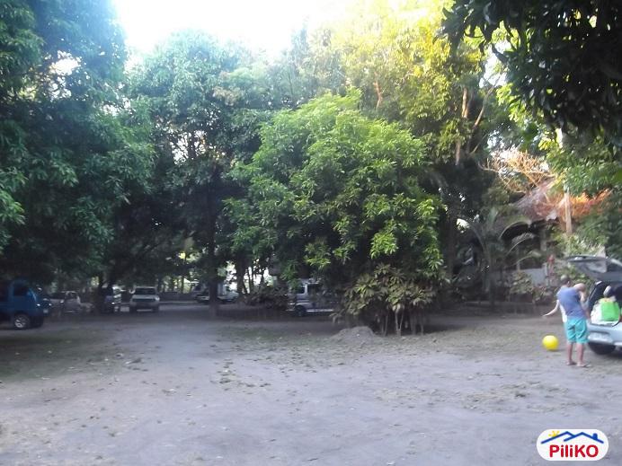 Other lots for sale in Dumaguete - image 10
