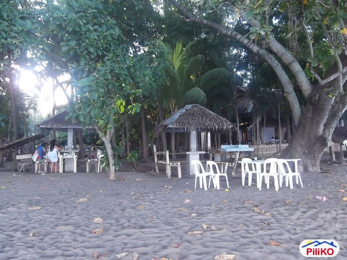 Pictures of Other lots for sale in Dumaguete