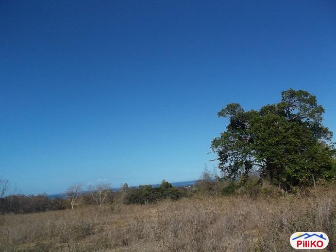 Picture of Other lots for sale in Dumaguete