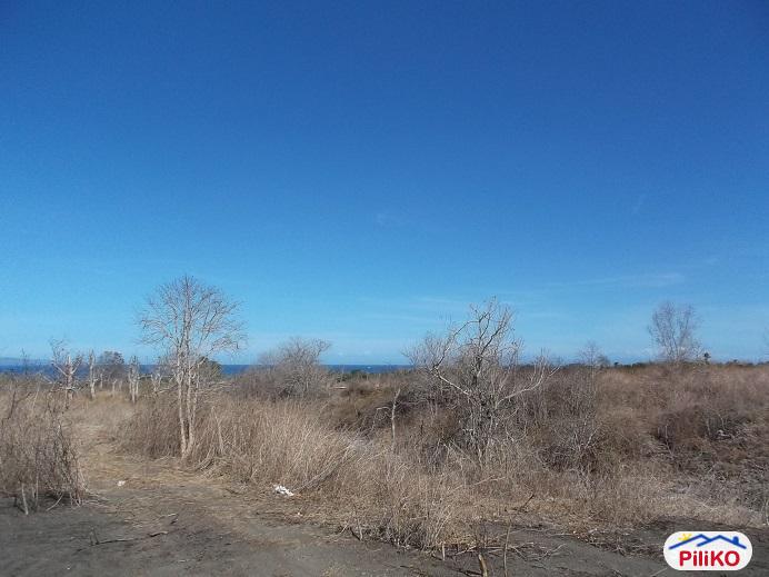 Other lots for sale in Dumaguete