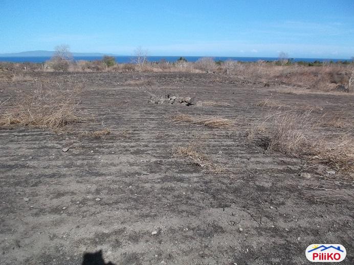 Other lots for sale in Dumaguete - image 2