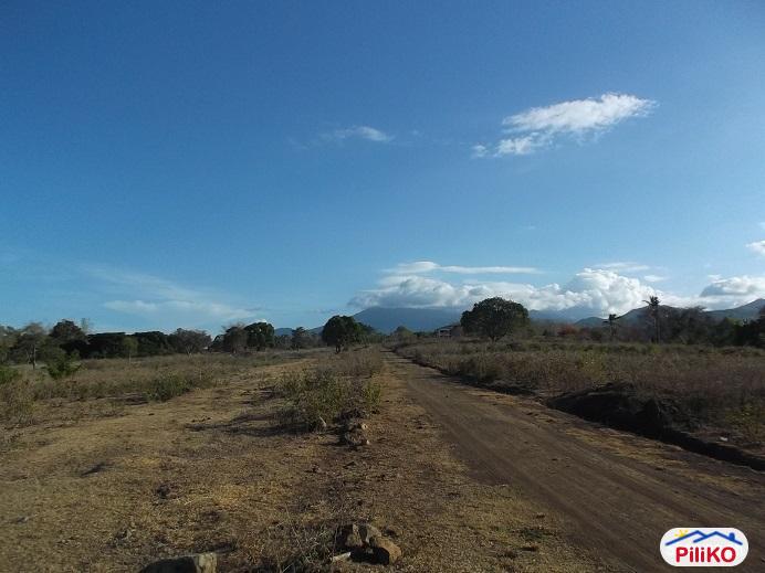 Other lots for sale in Dumaguete in Negros Oriental