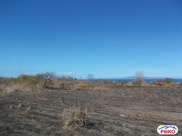 Other lots for sale in Dumaguete - image 3