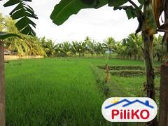 5 bedroom House and Lot for sale in Dumaguete - image 4