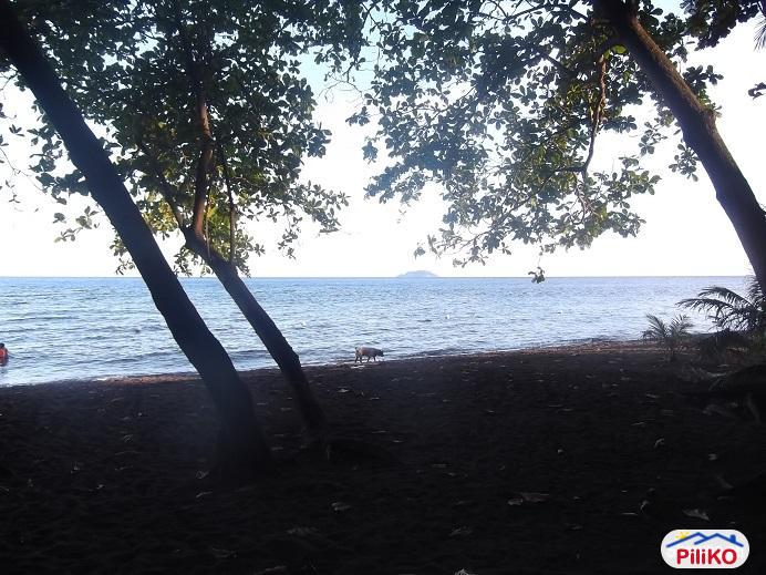 Other lots for sale in Dumaguete - image 4