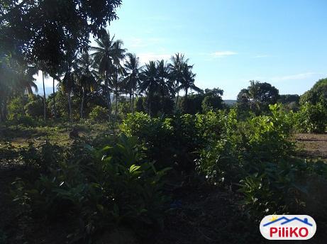Other lots for sale in Dumaguete - image 4