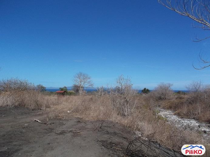 Other lots for sale in Dumaguete - image 4