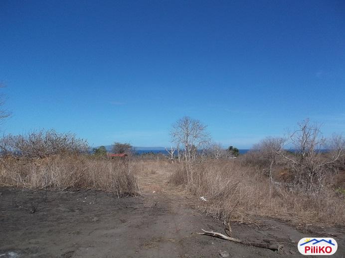Other lots for sale in Dumaguete - image 5