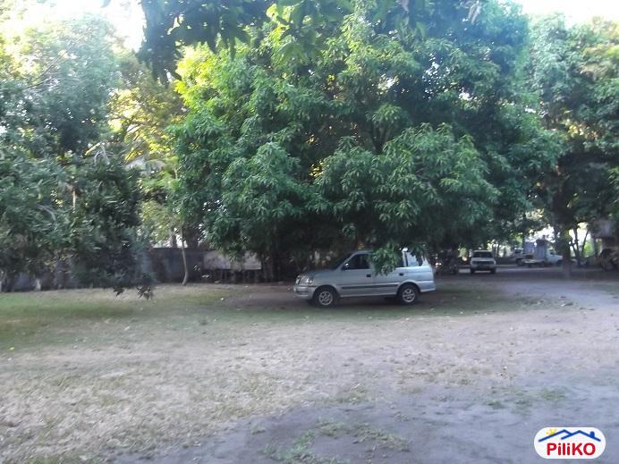 Other lots for sale in Dumaguete - image 6