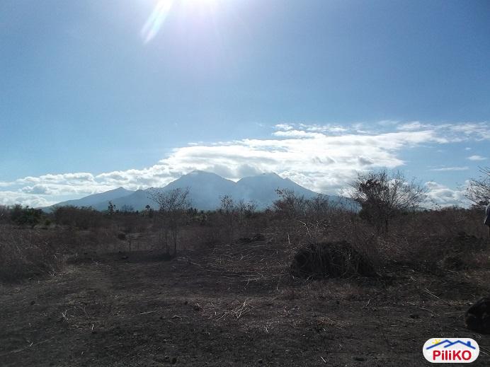 Other lots for sale in Dumaguete - image 6
