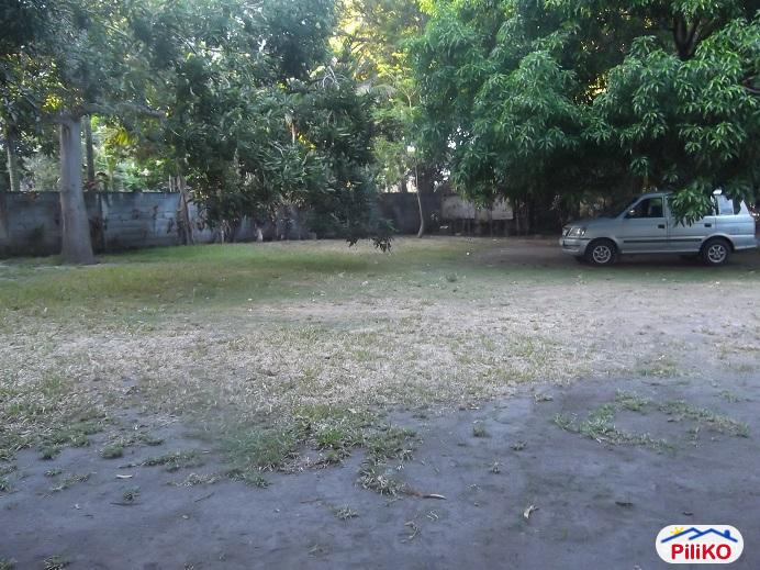 Other lots for sale in Dumaguete - image 7