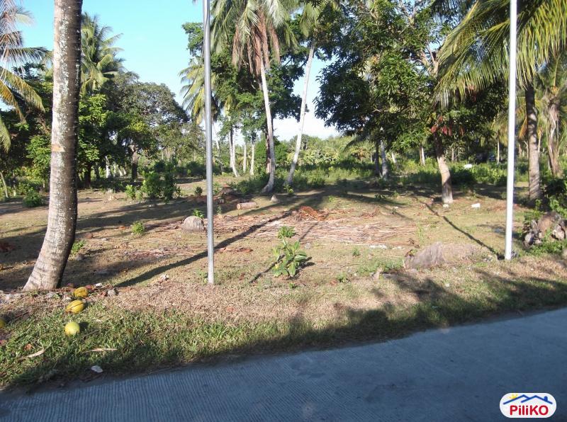 Other lots for sale in Dumaguete - image 7