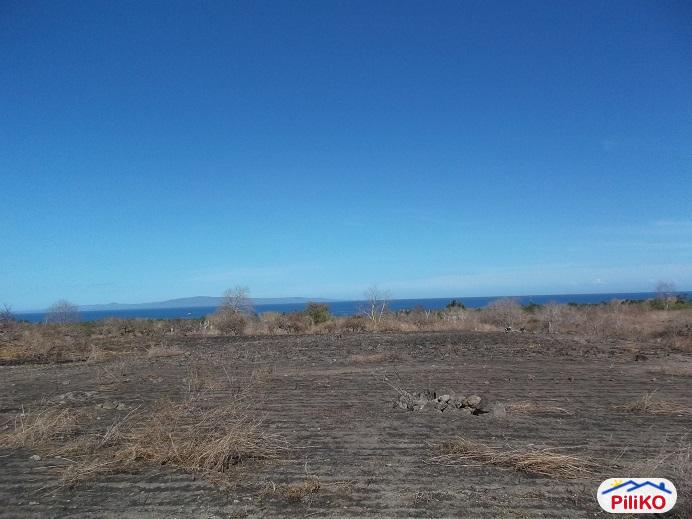 Other lots for sale in Dumaguete - image 7