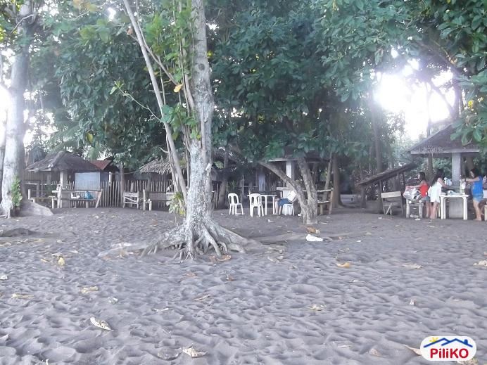 Other lots for sale in Dumaguete - image 8