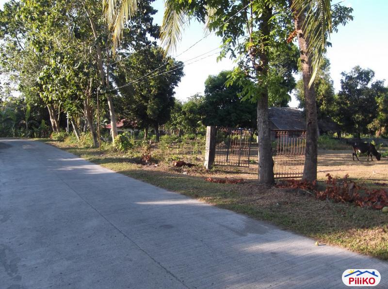 Other lots for sale in Dumaguete in Philippines - image
