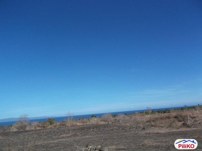 Other lots for sale in Dumaguete - image 8