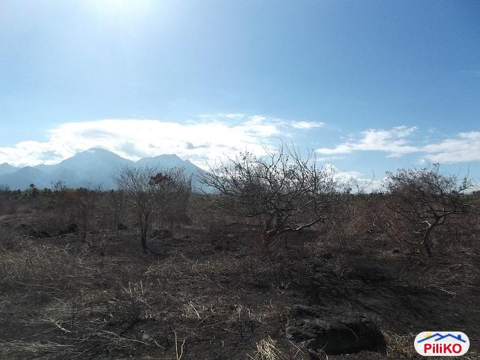 Other lots for sale in Dumaguete - image 9