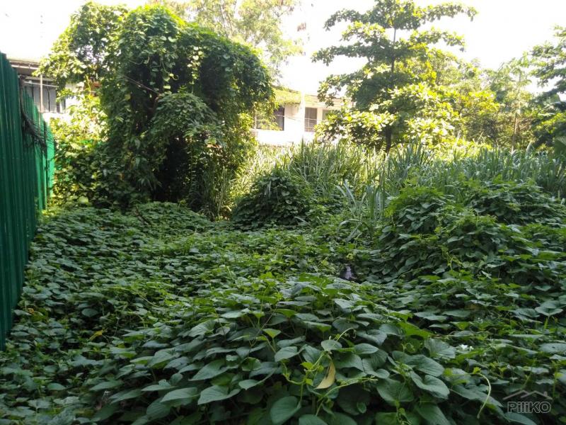 Commercial Lot for rent in Quezon City