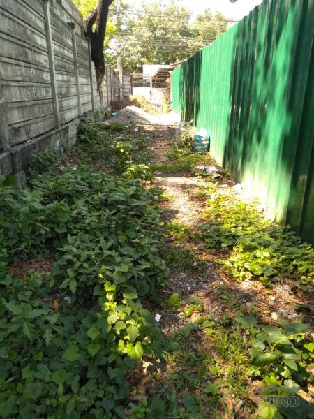 Commercial Lot for rent in Quezon City in Metro Manila